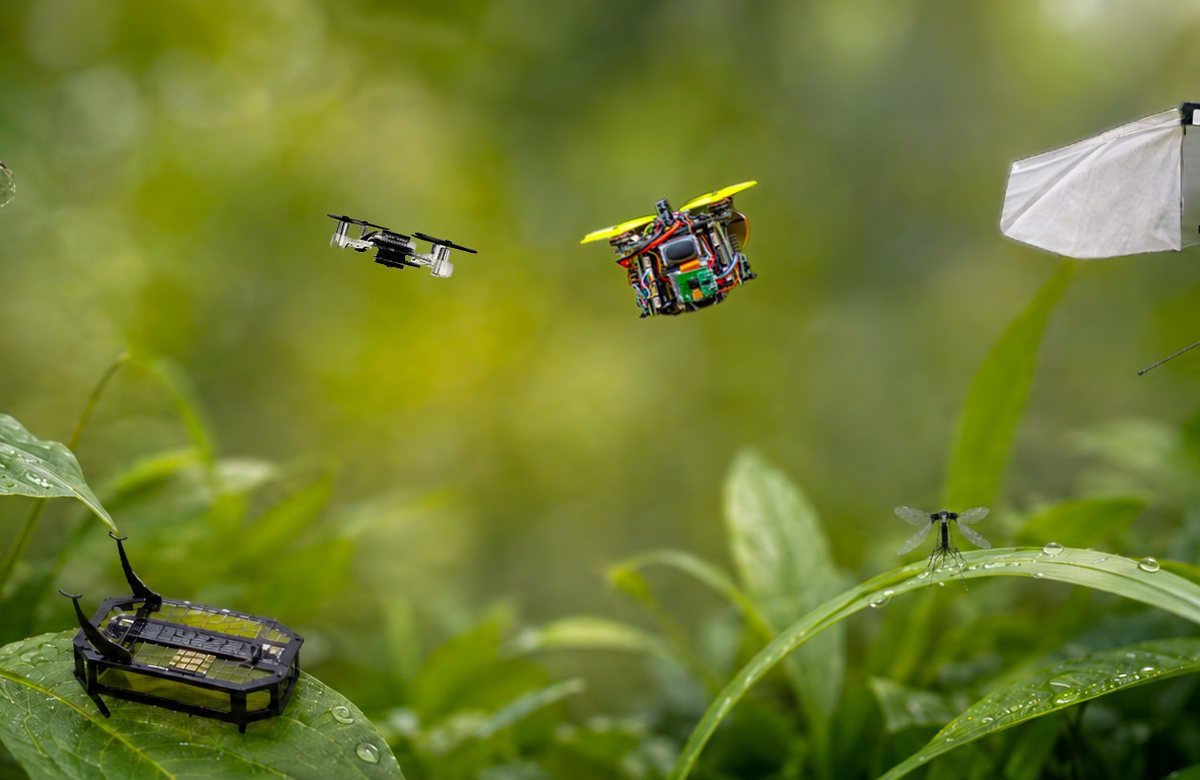 Insects and insect-scale robots flying and crawling among leaves, from the workshop banner