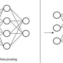 Lottery Ticket Hypothesis pruning experiment results