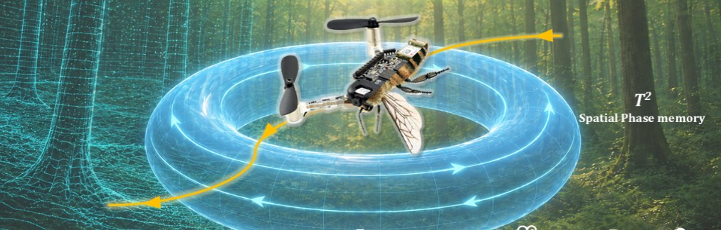 A bee-scale robot inside a ring and a torus, standing for heading memory and spatial phase memory